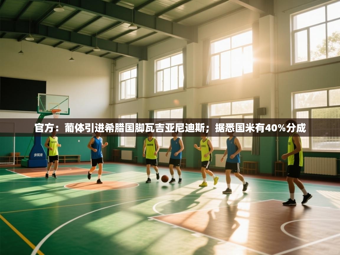 官方:葡体引进希腊国脚瓦吉亚尼迪斯;据悉国米有40%分成 第1张