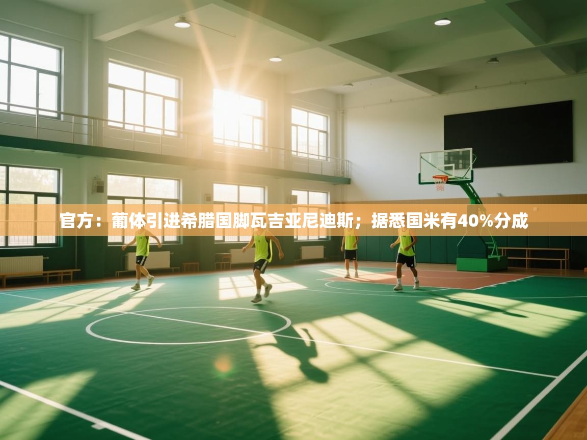 官方:葡体引进希腊国脚瓦吉亚尼迪斯;据悉国米有40%分成 第2张